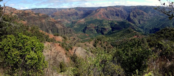 Panorama Waimea